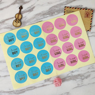 Gender Reveal Stickers - Team Boy & Team Girl Baby Riddle