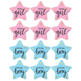 Baby Riddle Gender Reveal Voting Stickers - Boy or Girl | Baby Riddle