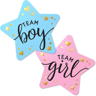 Baby Riddle Gender Reveal Voting Stickers - Boy or Girl | Baby Riddle