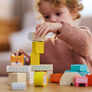Animal Parade Blocks Stacking & Sorting Building Toys