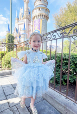 Little Princess Girls Tulle Dress Girls Dress Charlies Project Kids SIZE: 12-18M