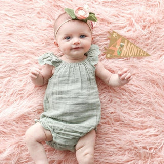 Lucy Darling Little Artist Petit Milestone Pennants | Baby Riddle