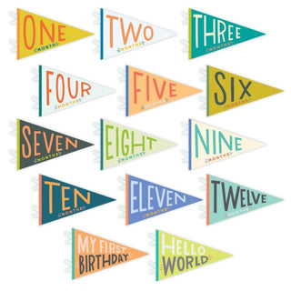 Lucy Darling Little Kaleidoscope Petit Milestone Pennants | Baby Riddle
