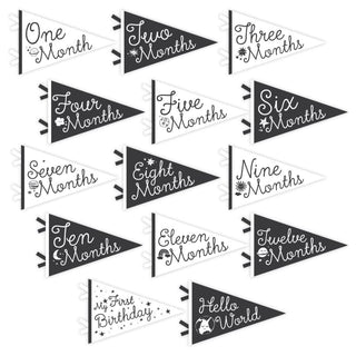 Lucy Darling Little Stargazer Petit Milestone Pennants | Baby Riddle