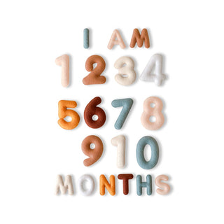 Lucy Darling Milestone Felt Numbers in Neutral | Baby Riddle