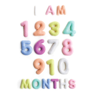 Lucy Darling Milestone Felt Numbers in Pastel | Baby Riddle