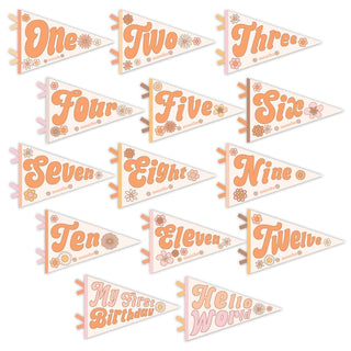 Lucy Darling Flower Child Petit Milestone Pennant | Baby Riddle