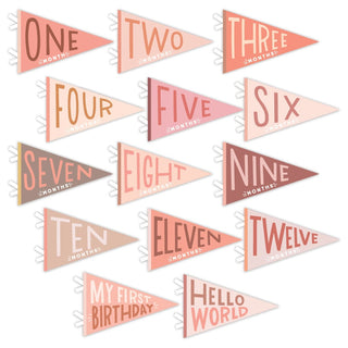 Lucy Darling Blushing Meadow Petit Milestone Pennant | Baby Riddle
