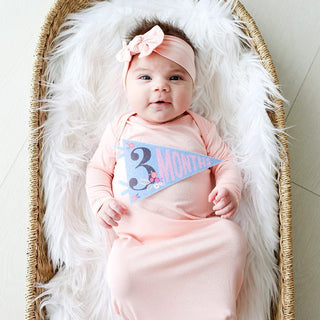 Lucy Darling Little Artist Petit Milestone Pennants | Baby Riddle