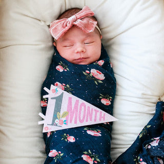Lucy Darling Little Artist Petit Milestone Pennants | Baby Riddle