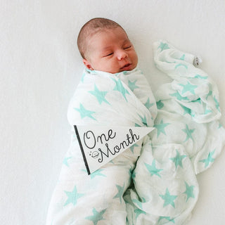 Lucy Darling Little Stargazer Petit Milestone Pennants | Baby Riddle