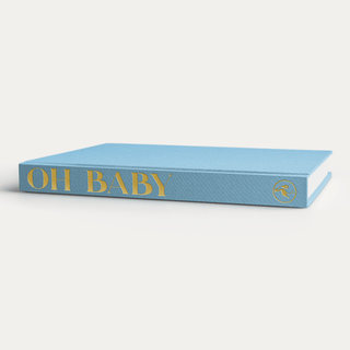The Blank Book - Oh Baby, Blue Skies Blank Book - Phrase Pastel Proper Fabric Color: Blue Skies Spine Icon: Stork