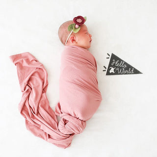 Lucy Darling Little Stargazer Petit Milestone Pennants | Baby Riddle