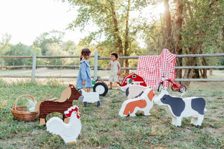🐓 Farm Friends Rooster Piñata – Handcrafted Barnyard Party Decor for Birthdays, Baby Showers & Animal-Themed Celebrations Piñata mamaspinatas