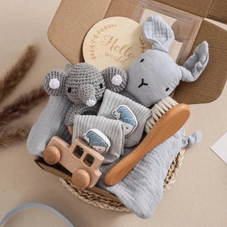 Newborn Assorted Gift Box RYAN AND REMI Color: I
