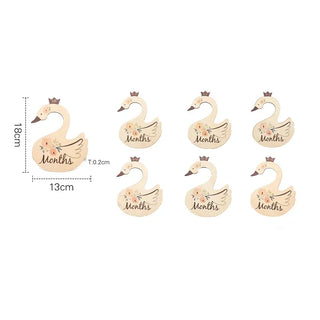 7Pcs Acrylic Closet Dividers RYAN AND REMI Color: Wooden Swan