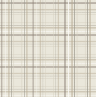 Minky Stretch Receiving Blankets Saranoni Color: Neutral Checkered