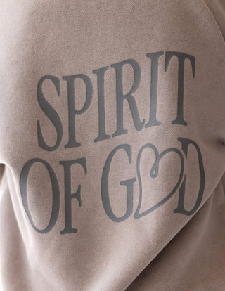 Spirit of God Kids Hoodie Kids Hoodie Elevated Faith Size: 2T