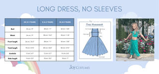 The Arabian Princess Costume Dress