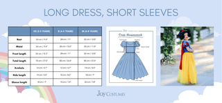 The Fairest Of Them All Princess Costume Dress