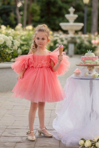 Blush Feather Fairy Tulle Dress Dresses Faeella Size: 2