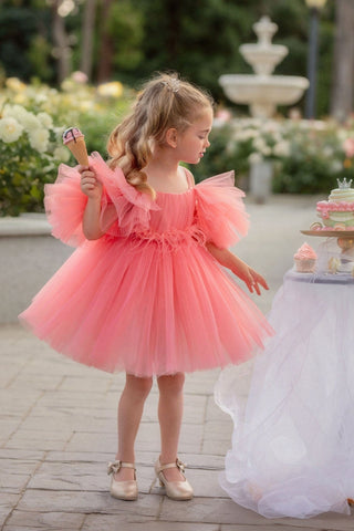 Blush Feather Fairy Tulle Dress Dresses Faeella Size: 2