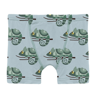 Bamboo Boxer Brief - Spring Sky Chameleon Boys Underwear KicKee Pants Size: 2T-3T