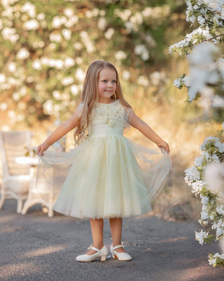 Buttercream Belle Dress Faeella Size: 2
