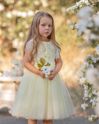 Buttercream Belle Dress Faeella Size: 2