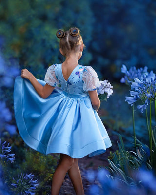 Celestial Butterfly Dress Faeella Size: 1