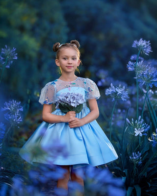 Celestial Butterfly Dress Faeella Size: 1