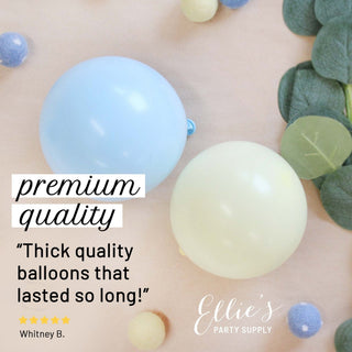 Pastel Blue & Yellow Balloon Garland Kit | First Bee Day & Baby Shower DIY Arch Balloon Garlands Ellie's Party Supply Garland Length:: 5 Feet
