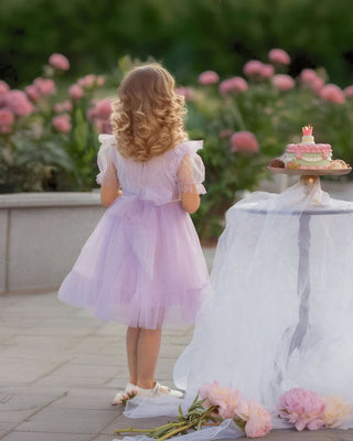 Dreamy Lilac Princess Dress Dresses Faeella Size: 2