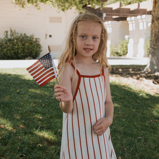 Knit Dress | Picnic Pinstripe forever french baby
