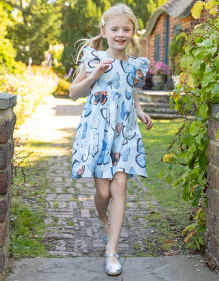 Cotton Elsie Dress - Blue Vintage Butterflies Pink Chicken Size: 2T