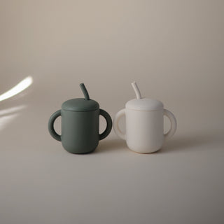 Silicone Training Cup + StrawSippy CupsMushieColor: Dinosaurs