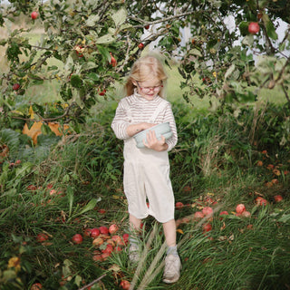 LunchboxLunchboxMushieColor: Ivory