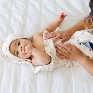 Hooded Towels Saranoni Style: Infant Color: Cars