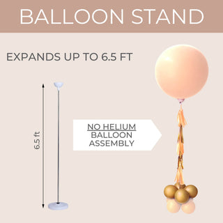 What Will Our Little Honey Bee? Gender Reveal Balloon Kit Balloons Baby Riddle With or Without Balloon Stand?: Balloon (No Stand)