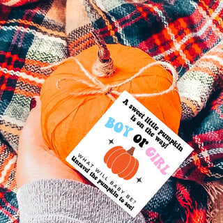 Durable Baby Carrier Backpack with Safety Locks Baby Riddle Gender: Boy Size: Small 2-3" inches