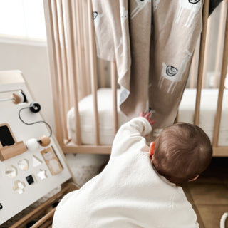 Luxury Knit Llama Swaddle Baby Blanket Baby Blankt Bleu La La Color: Llama - Pink