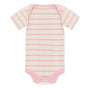 Lotus Sweet Stripe