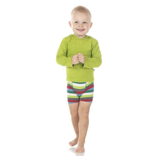 Print Boy's Boxer Brief - 2020 Multi Stripe Toddler Underwear