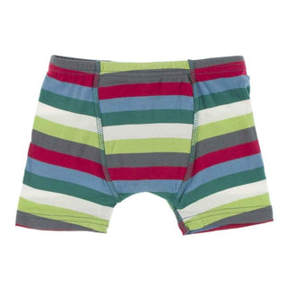 Print Boy's Boxer Brief - 2020 Multi Stripe Toddler Underwear