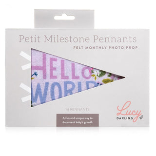 Lucy Darling Little Artist Petit Milestone Pennants | Baby Riddle