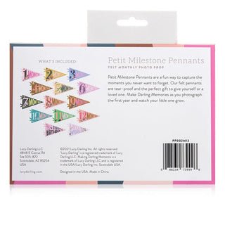Lucy Darling Little Artist Petit Milestone Pennants | Baby Riddle