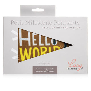 Lucy Darling Little Camper Petit Milestone Pennants | Baby Riddle