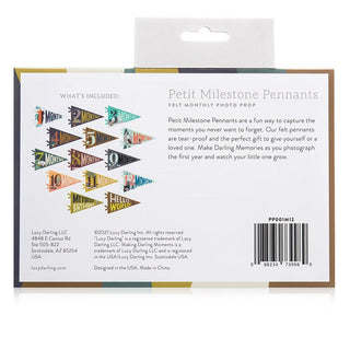 Lucy Darling Little Camper Petit Milestone Pennants | Baby Riddle
