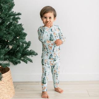 Bamboo Long Sleeve Pajama Set - Spring Sky Winter Woodland KicKee Pants Size: 2T