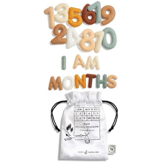 Lucy Darling Milestone Felt Numbers in Neutral | Baby Riddle